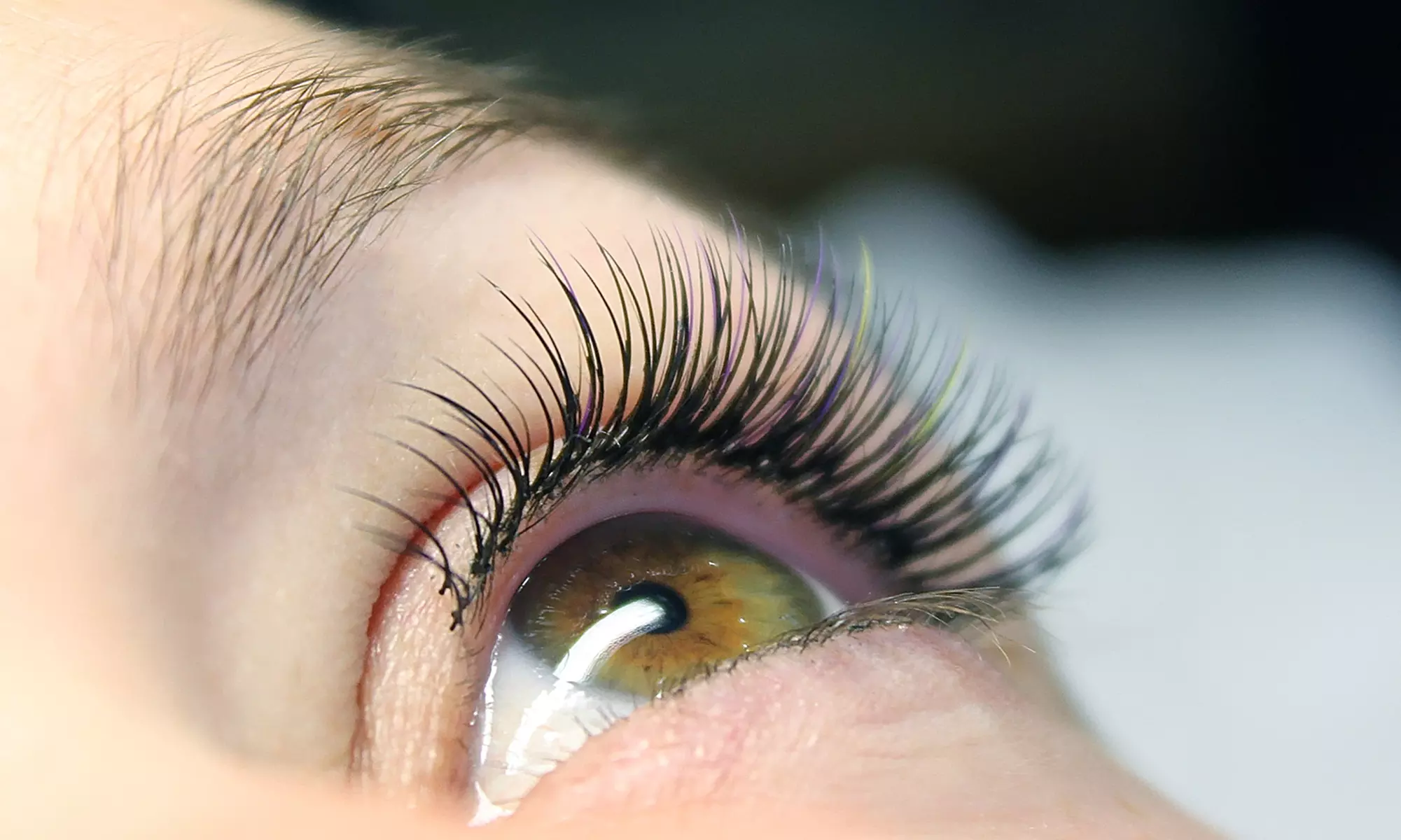Elevate Your Lashes at Angie's Glo Lounge with a Glamorous Lash Lift and Tint (Up to 20% Off) - Primary Image