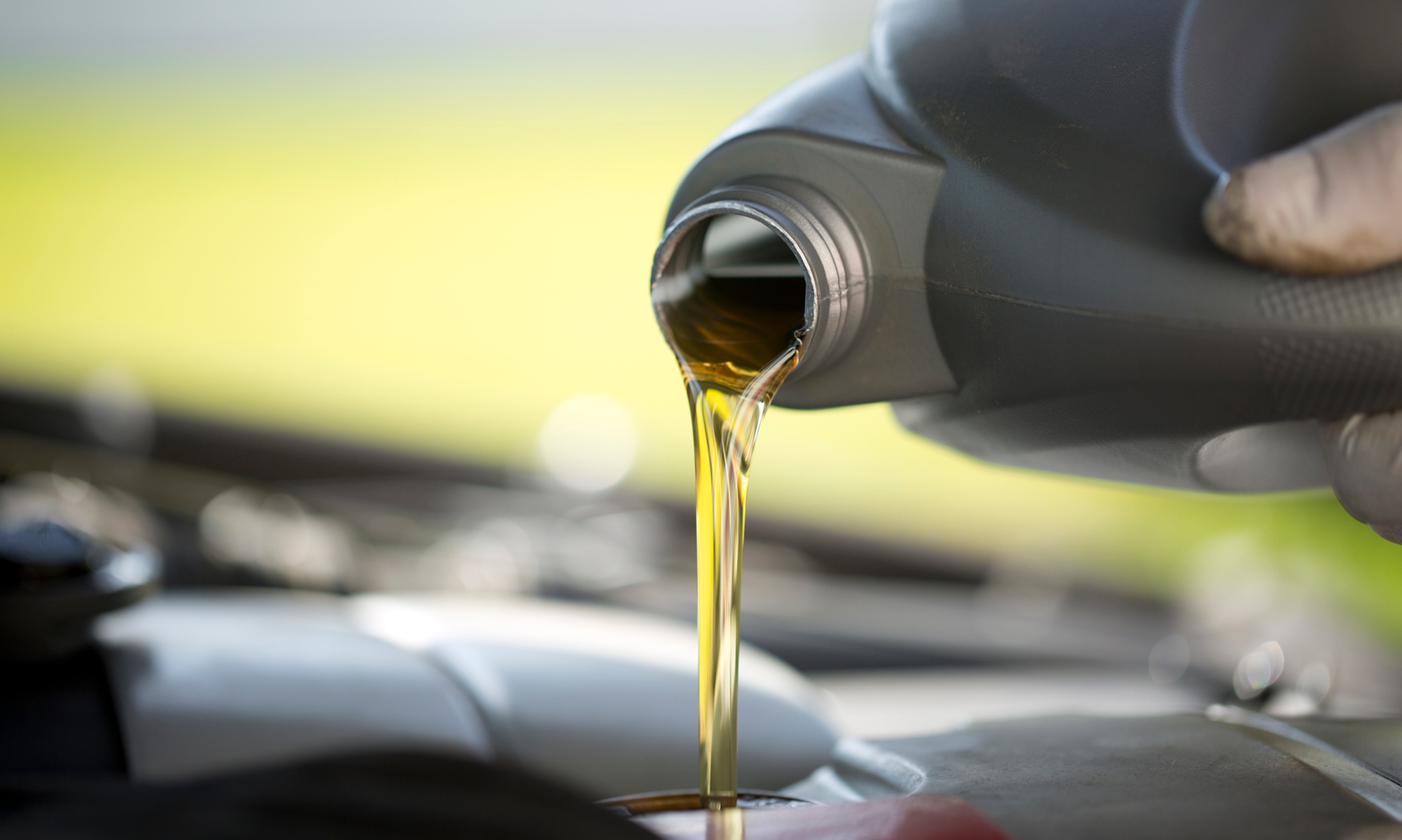 1 Conventional, Synthetic Blend, or Full Synthetic Oil Change and More