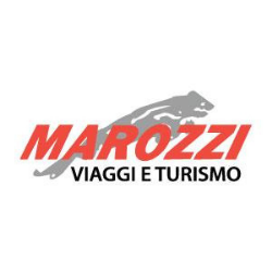 Viaggia in bus con il 50% di sconto