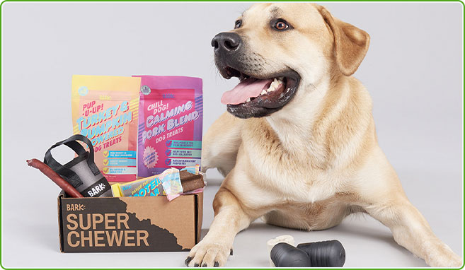 Super Chewer BarkBox - Our friends at YETI made these limited