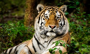 Up to 30% Off Tickets | Banham Zoo