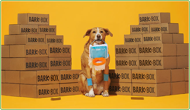 Bark box on sale canada groupon