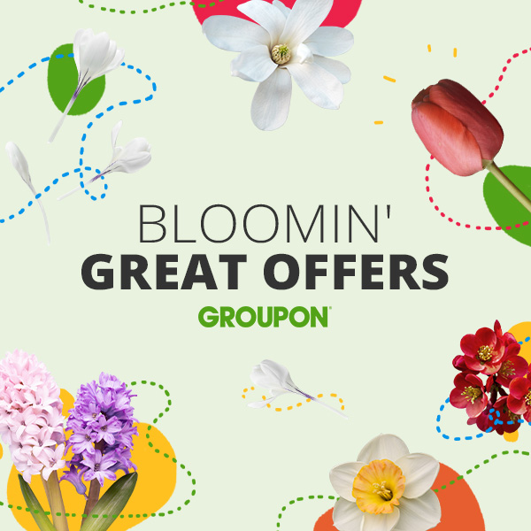 Spring has sprung at Groupon!