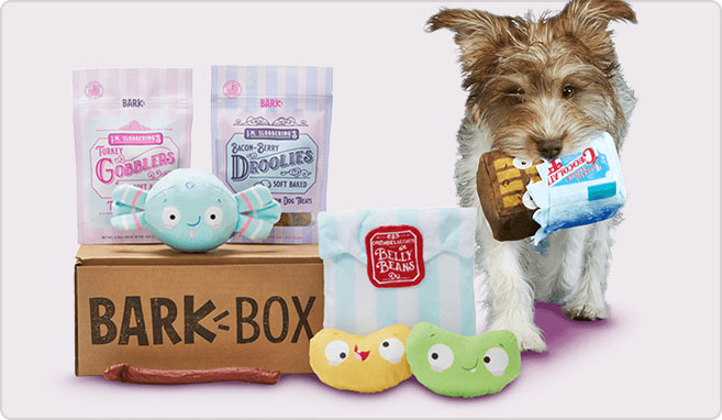 Bark box canada groupon new arrivals