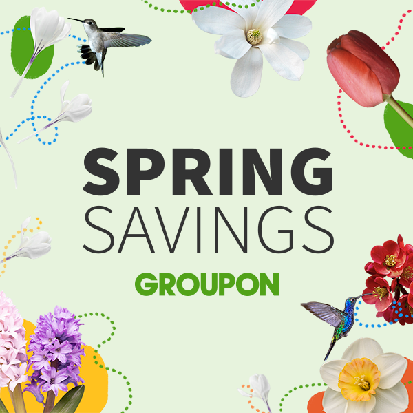 spring savings!