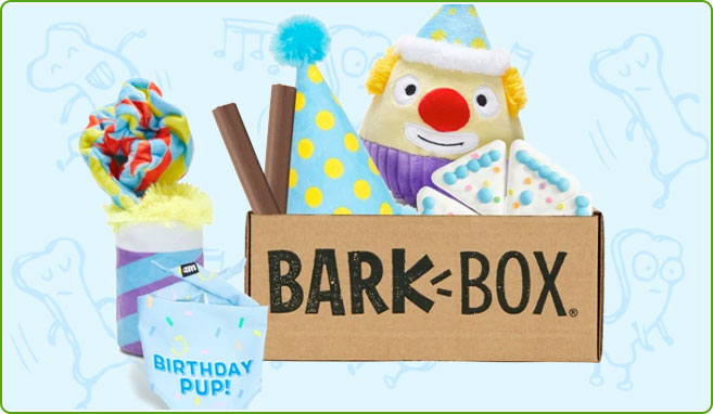 Barkbox 2024 birthday box