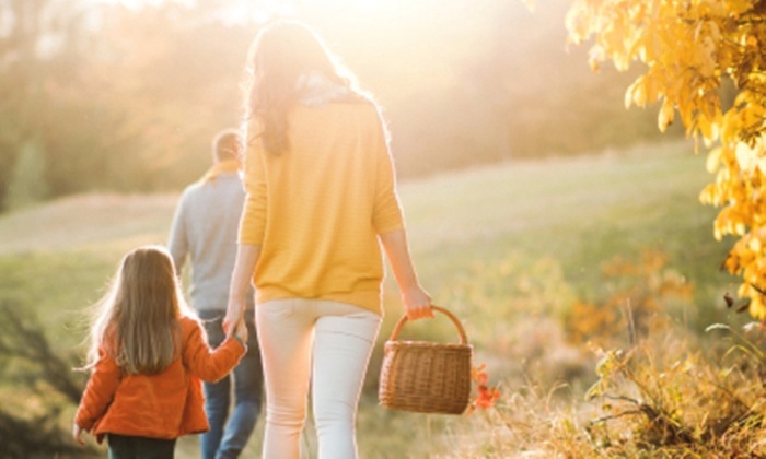 Save 20% on Last-Minute Weekend Deals at Expedia.ie