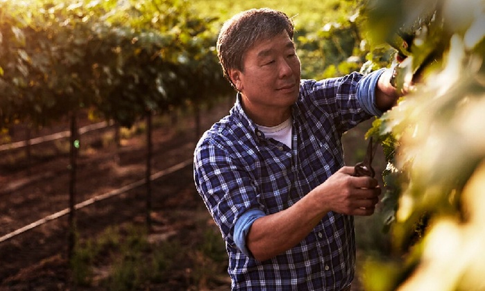 $100 Off Your First 12 Wines With This Naked Wines Australia Discount Code
