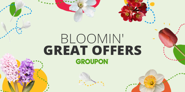 Spring has sprung at Groupon!