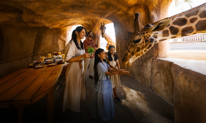 Fly hUp to 20% off Economy!