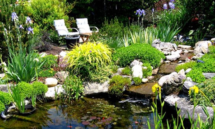 Pondkeeper Offer: 50% Off PondXpert MultiChamber 18000 Filter and UltraFlow 10000 Pump Set