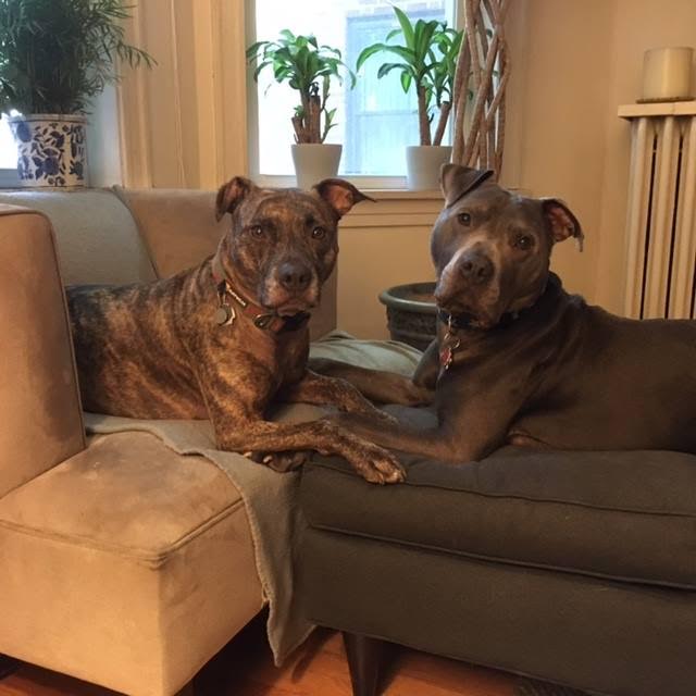 Lola and Hippo