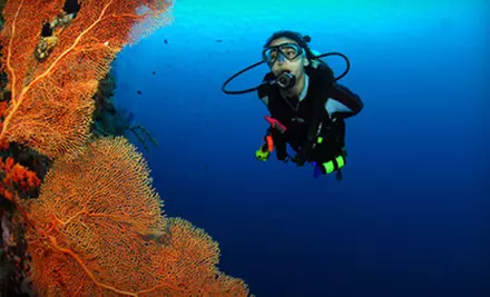 $169 for a Two-Day Scuba-Certification Package at Adventure Diving in Crystal River (Up to $399 Value) - Primary Image