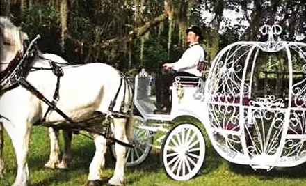 $45 for a One-Hour Carriage Tour for Two from Ocala Carriage & Tours ($95 Value) - Primary Image