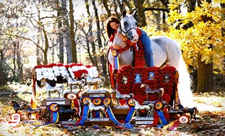 $59 for Three Private Riding Lessons at Four Winds Stable in Waterloo ($120 Value) - Primary Image