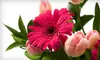 $25 for $50 Worth of Flowers and Plants from Kaplan Flowers