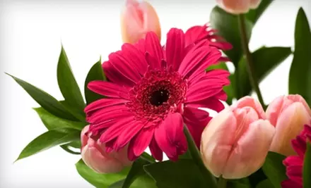 $25 for $50 Worth of Flowers and Plants from Kaplan Flowers - Primary Image