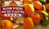 $4 for Admission Plus a $4 Credit Toward Goods at Bloom Where You’re Planted Farm ($8 Value) 
