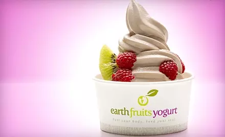 $5 for $10 worth of Frozen Yogurt at EarthFruits Yogurt in Provo - Primary Image