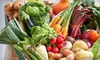 $39 for 2011 Co-op Membership, Bag of Organic Produce, and Infrared Steam Pod Treatment at OKC Organics ($100 Value)