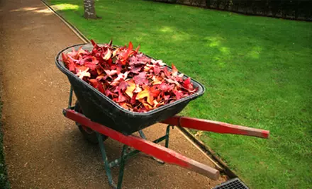 Fall Cleanup or Fall Lawn-Prep Package from Greensvue Landscaping - Primary Image