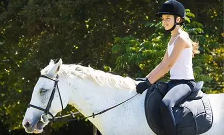 $25 for a One-Hour Equine Experience at Pegasus Riding School in Medina ($50 Value) - Primary Image