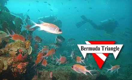 $29 for Discover Scuba Course at Bermuda Triangle ($79 Value) - Primary Image