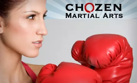 $25 for 10 Classes at Chozen Martial Arts ($159 Value) - Primary Image