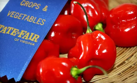 $11 for a Season Pass to the State Fair of Virginia in Doswell ($23 Value) - Primary Image
