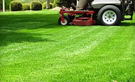 $12 for $25 Worth of Lawn Services from ET Lawn and Landscaping - Primary Image