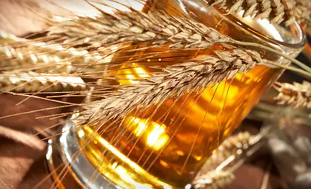 $64 for a First-Time Brewer Starter Kit and Ingredients Package from Midwest Homebrewing and Winemaking Supplies  - Primary Image