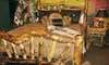 Home Decor and Accessories or Furniture at Rustic Ranch Log Furniture in Airdrie 