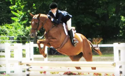 $29 for a One-Person, Private, 30-Minute Horseback Riding Lesson in North Salem ($65 Value). $59 for Two-Person Option ($130 Value). - Primary Image