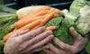 $18 for One Standard Box of Organic Produce and Artisan Groceries Plus $3 Credit from Full Circle ($38 Value) 