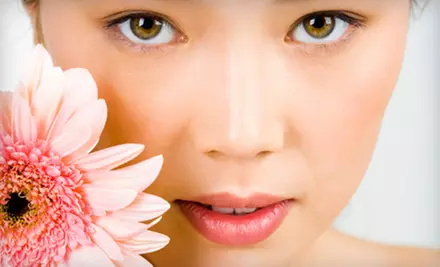 European Facial or Microdermabrasion Treatment at Dania Medical Esthetique in Brooksville - Primary Image