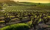 $130 for a One-Night Winter Wine-Country Retreat with Winery Passes for Two at Comfort Inn, Calistoga ($259 Value)