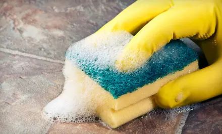 Two, Three, or Four Man-Hours of Eco-Friendly Housecleaning from Green MaidWorks (Up to 60% Off) - Primary Image