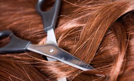 Haircut-and-Style Package with Conditioning or Highlights at Mauro Tollis Salon Hair Colour Group in Woodland Park  - Primary Image