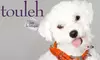 $15 for $30 Worth of Designer Accessories and Treats at Touleh Pet Boutique