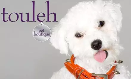 $15 for $30 Worth of Designer Accessories and Treats at Touleh Pet Boutique - Primary Image
