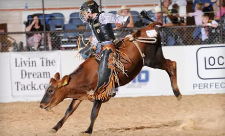 $15 for Two One-Day Tickets to the Youth Bull Riders World Finals ($30 Value)  - Primary Image