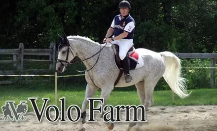 $49 for a One-Hour Private Horseback Riding Lesson at Volo Farm in Westford - Primary Image