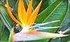 $20 for $40 Worth of Plants and Gardening Supplies at Moon Valley Nurseries