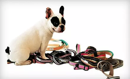 $17 for a 12-Hour Stay ($35 Value), $22 for an Overnight Stay ($45 Value), or $35 for a Full Grooming Session ($75 Value) at AlphaDog  - Primary Image