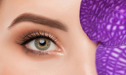 Lifting y tinte de pestañas - DM by Bodywood