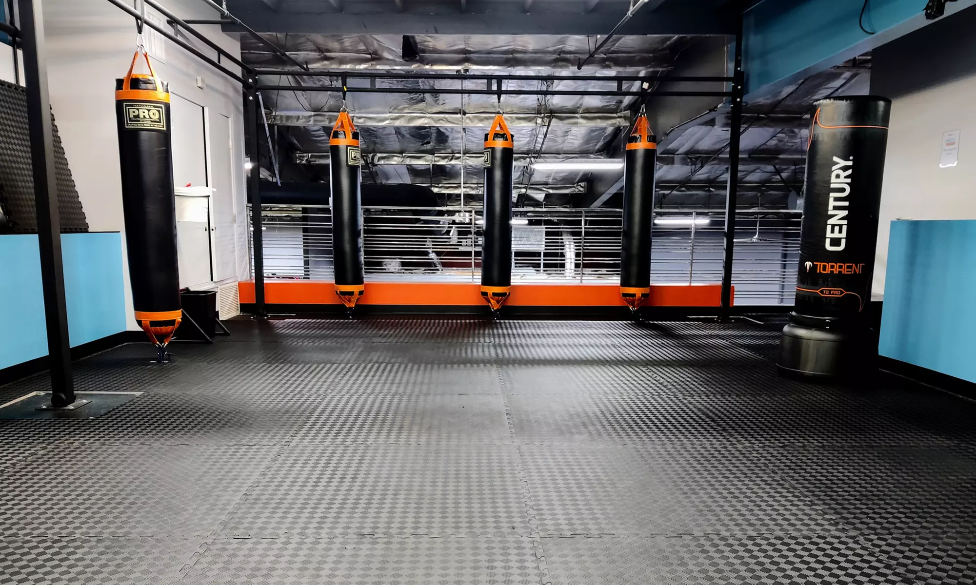 Transform w/ Holistic Fitness Program/ Martial Arts/Kickboxing Program