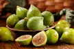 Green Fig Fruit Tree - 1 or 2 Potted Plants - Image 3