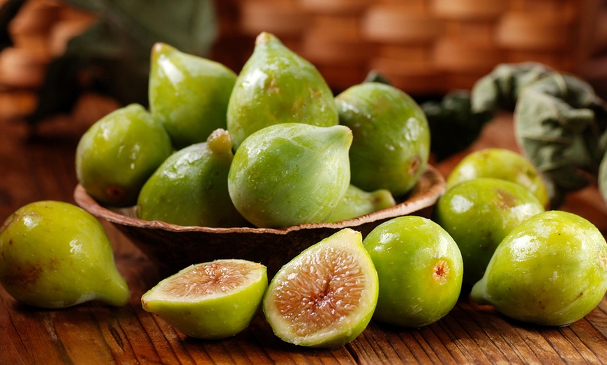 Image 3: Green Fig Fruit Tree - 1 or 2 Potted Plants