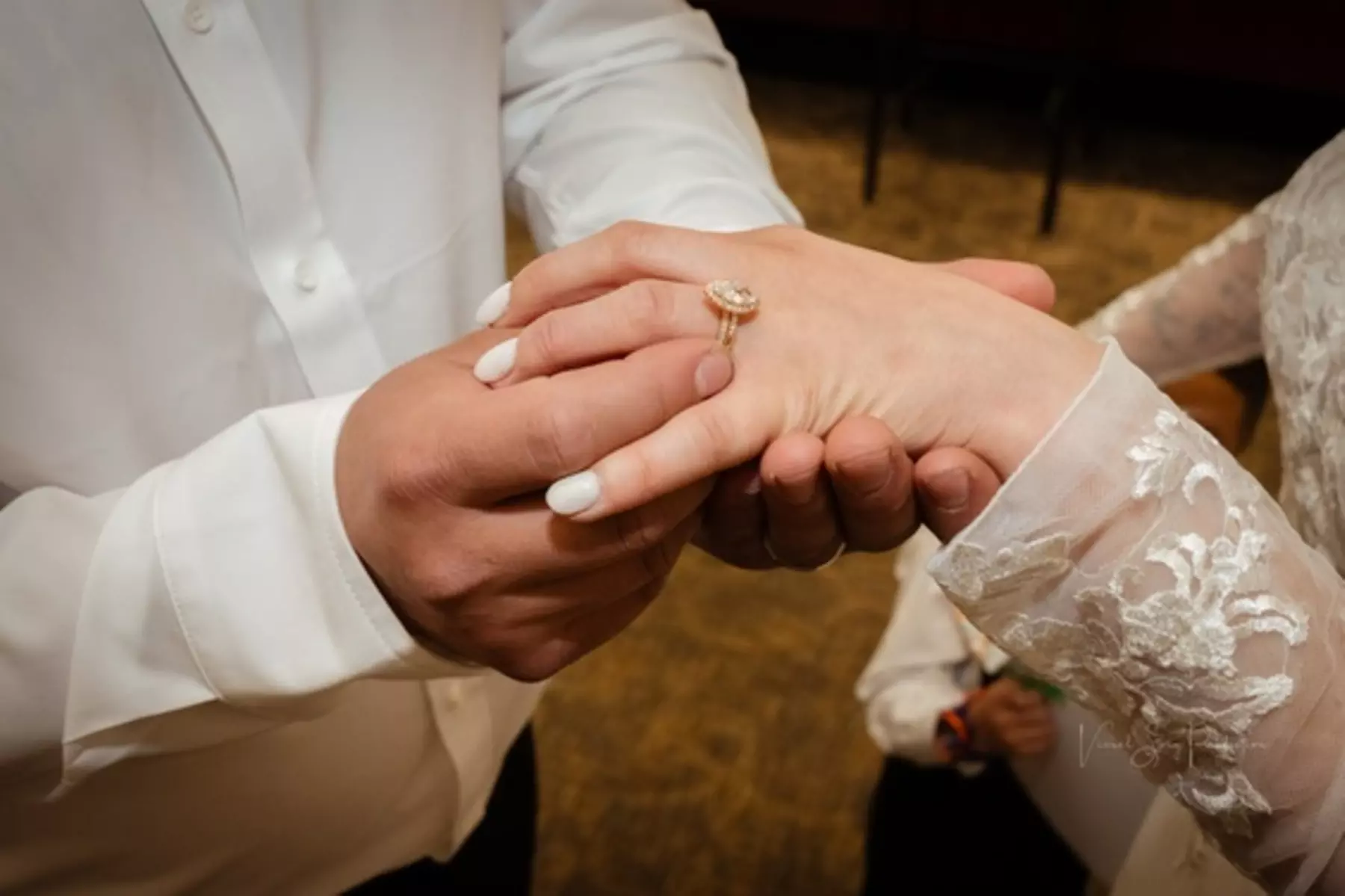 Professional Seasonal & Holiday Photo Session (Studio or On-Location)