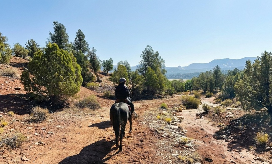 Image 7: Guided Horseback Riding: Sunset, Adventure & Beach Trails